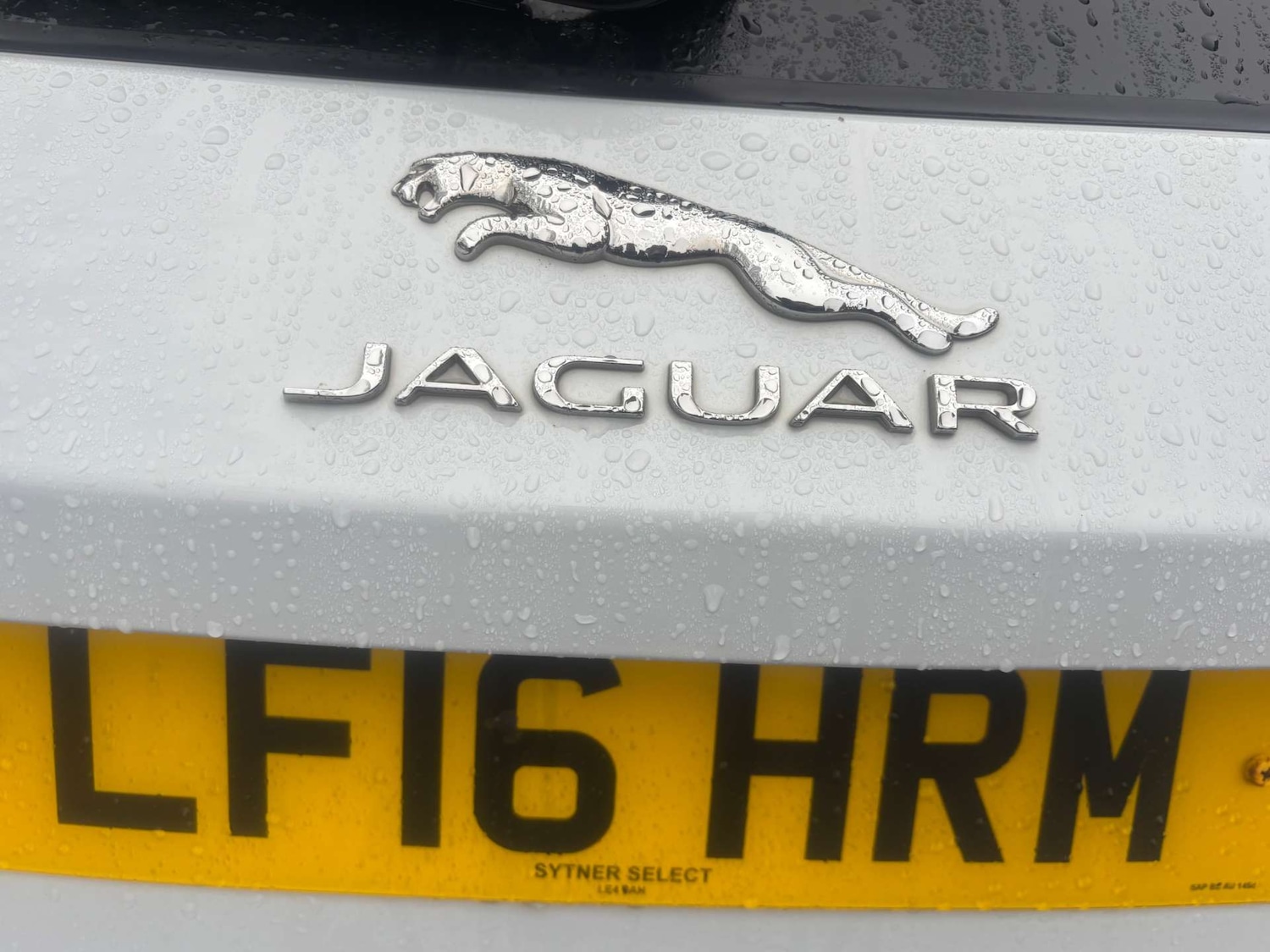 Used Jaguar F-Pace 2016 for sale - 77184824: Photo 14