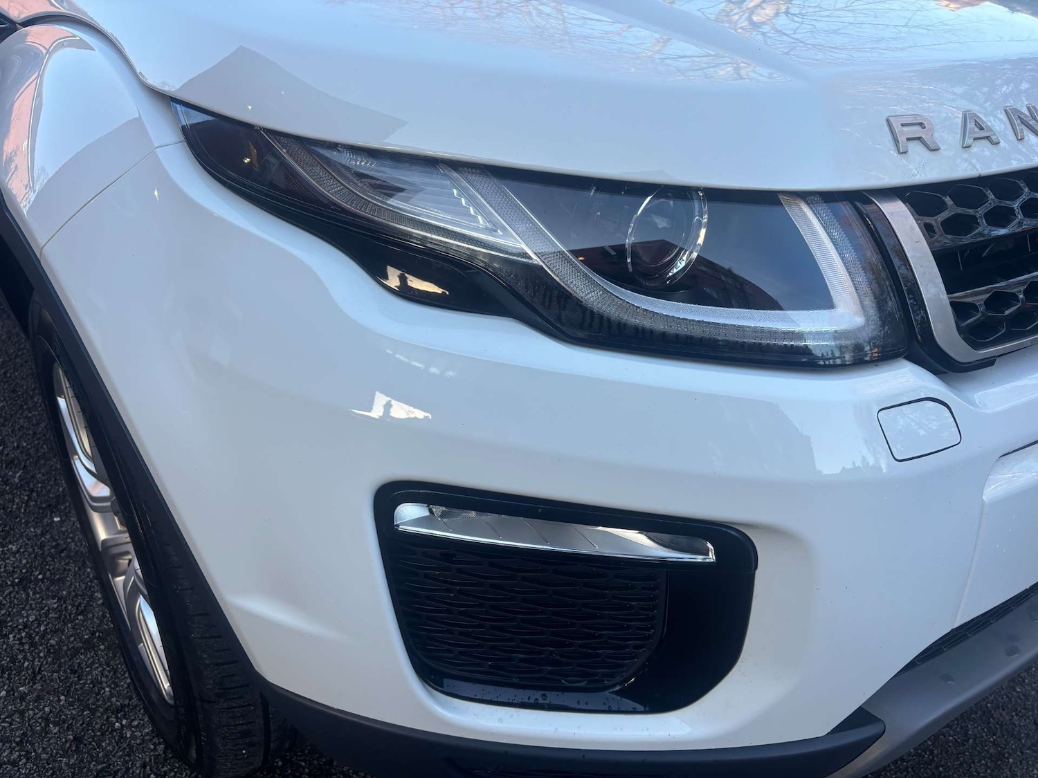 Used Land Rover Range Rover Evoque 2016 for sale - 77236293: Photo 11