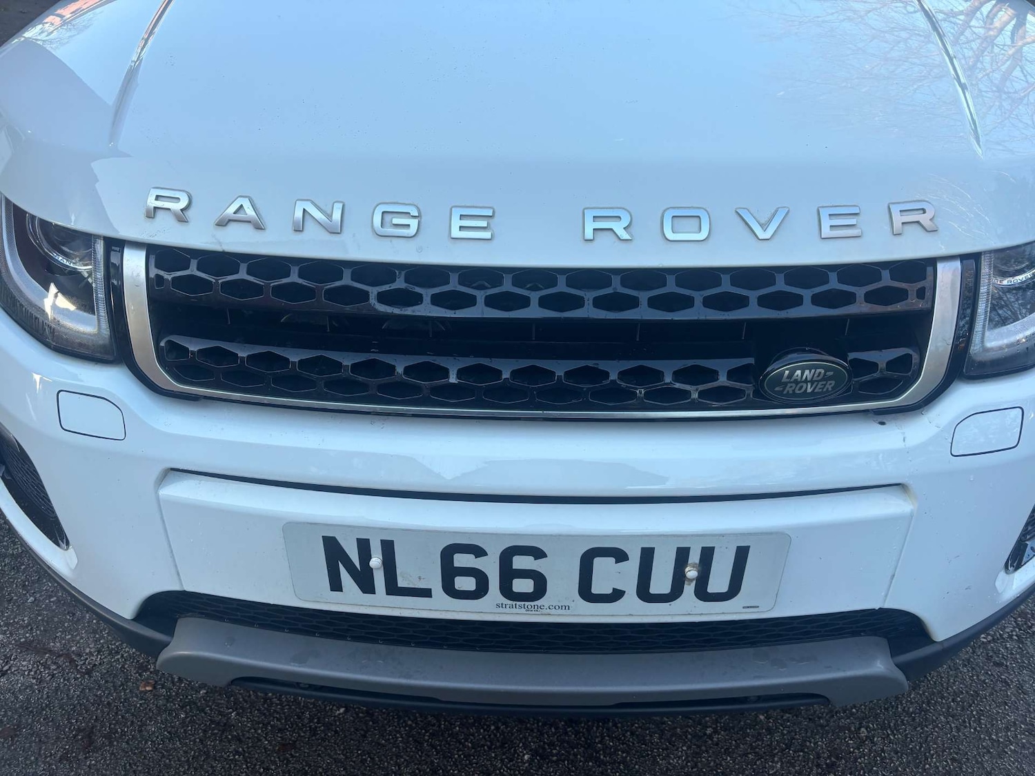 Used Land Rover Range Rover Evoque 2016 for sale - 77236293: Photo 12