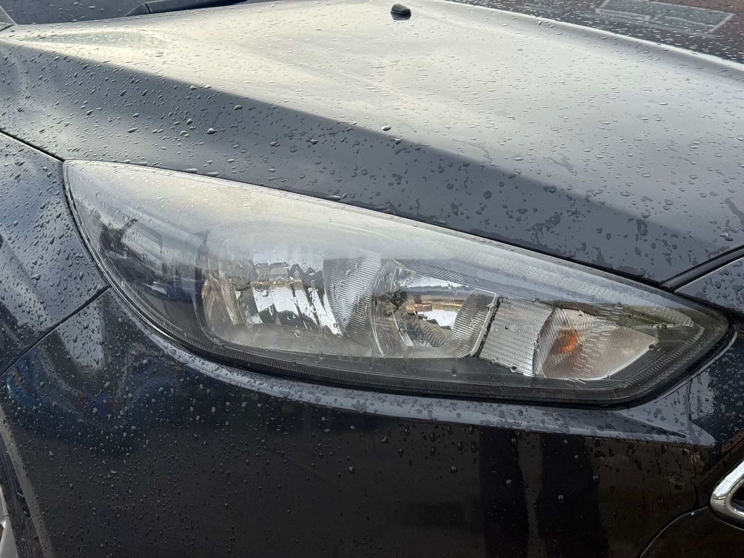 Used Ford Focus 2016 for sale - 77148666: Photo 11