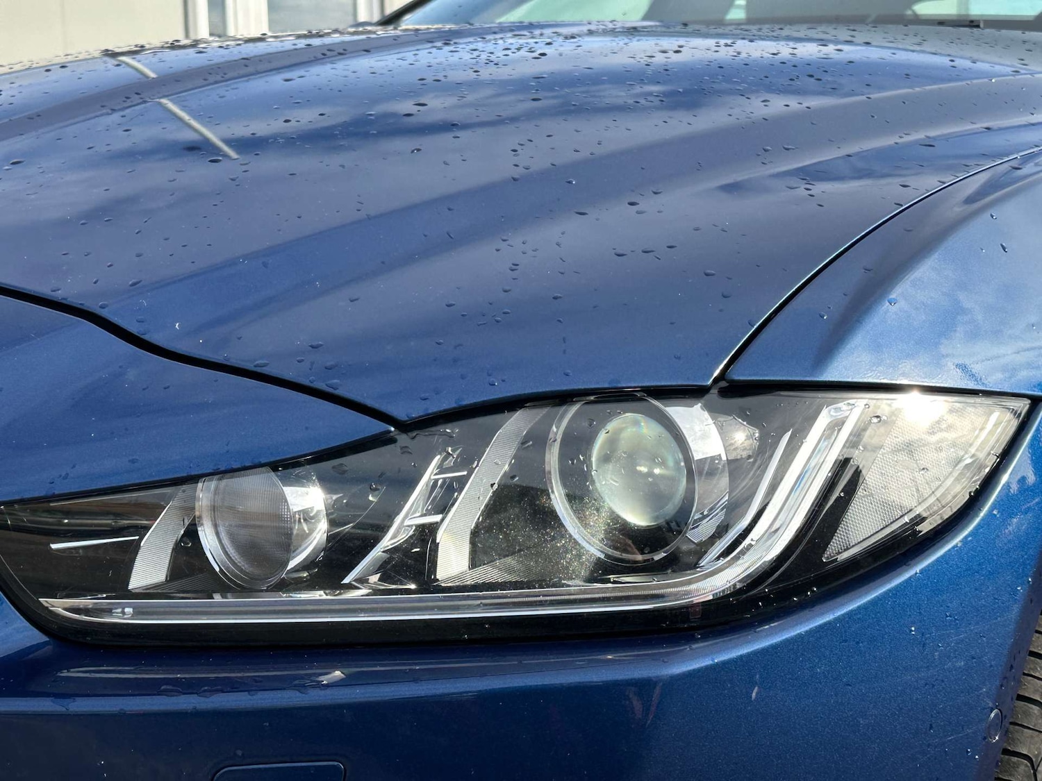 Used Jaguar XE 2016 for sale - 77567354: Photo 41
