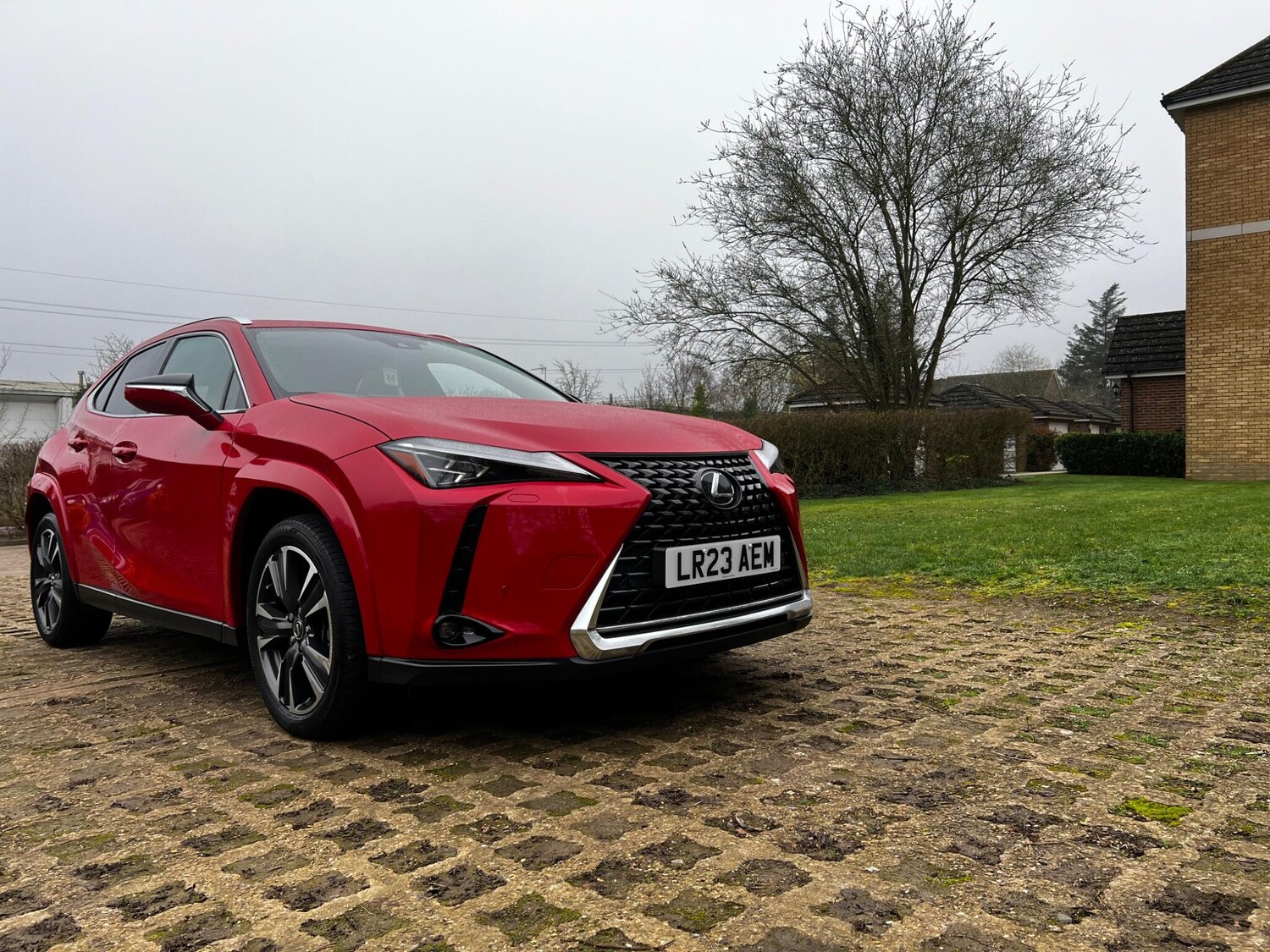 Used Lexus UX 2023 for sale - 78108465: Photo 10