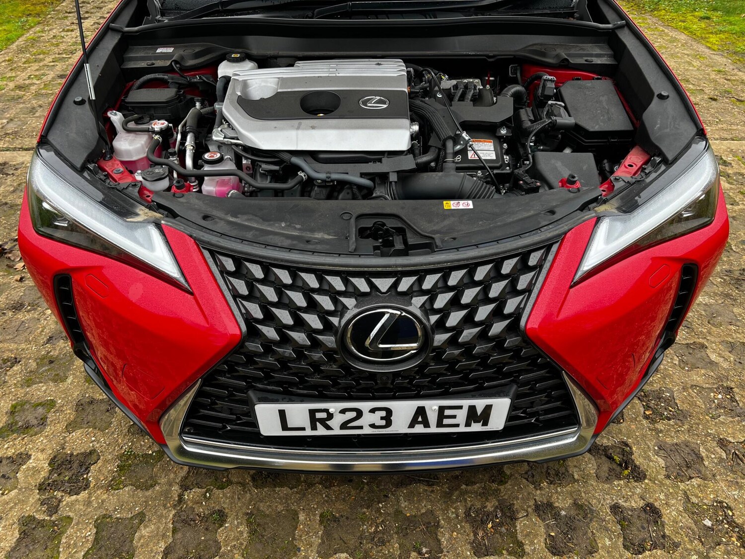 Used Lexus UX 2023 for sale - 78108465: Photo 54