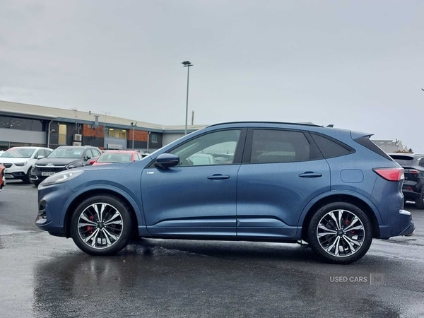 Used Ford Kuga 2023 for sale - 77218007: Photo 44