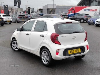 Used Kia Picanto 2022 for sale - 77769983: Photo