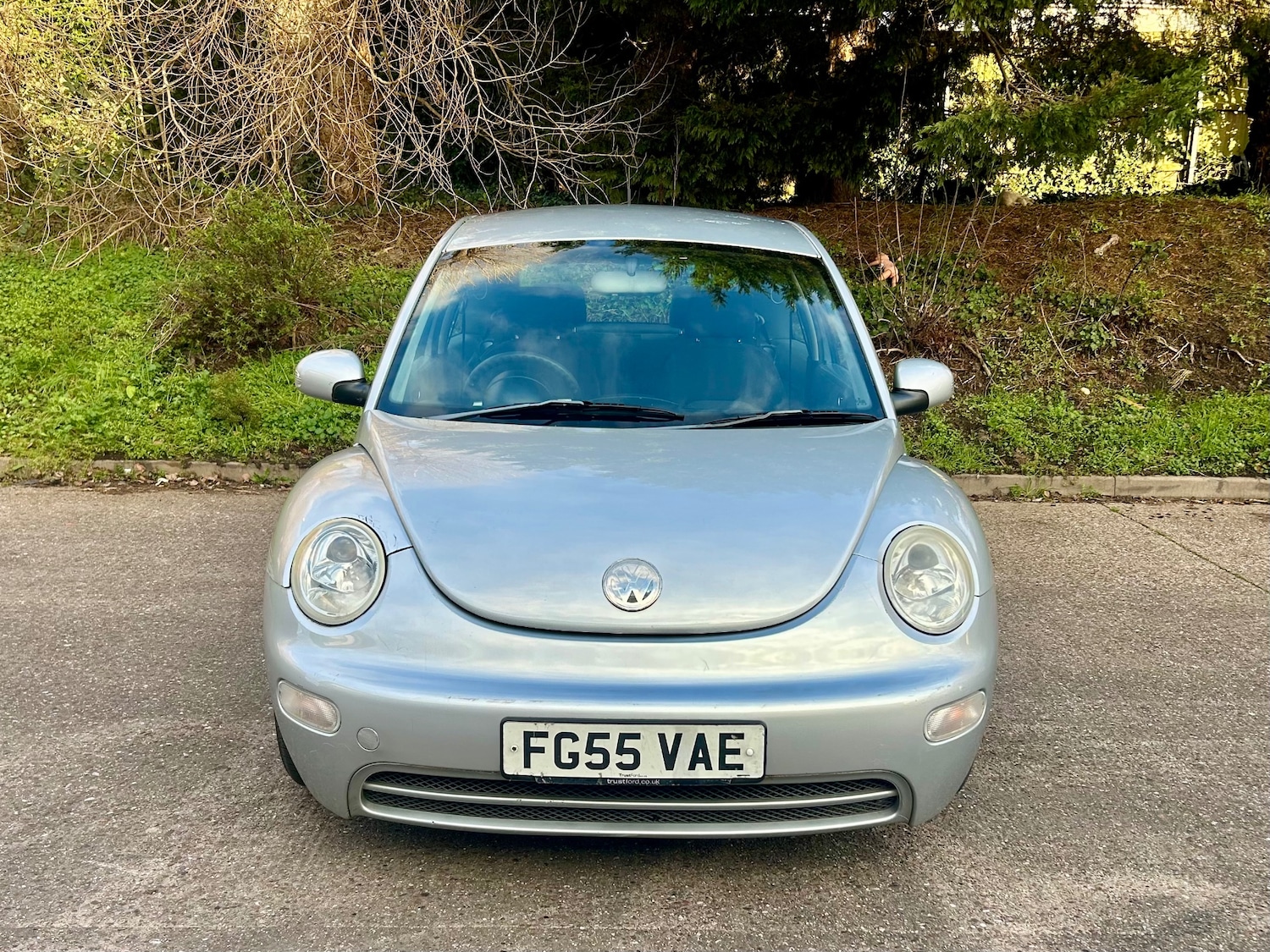 Used Volkswagen Beetle 2005 for sale - 77099941: Photo 3