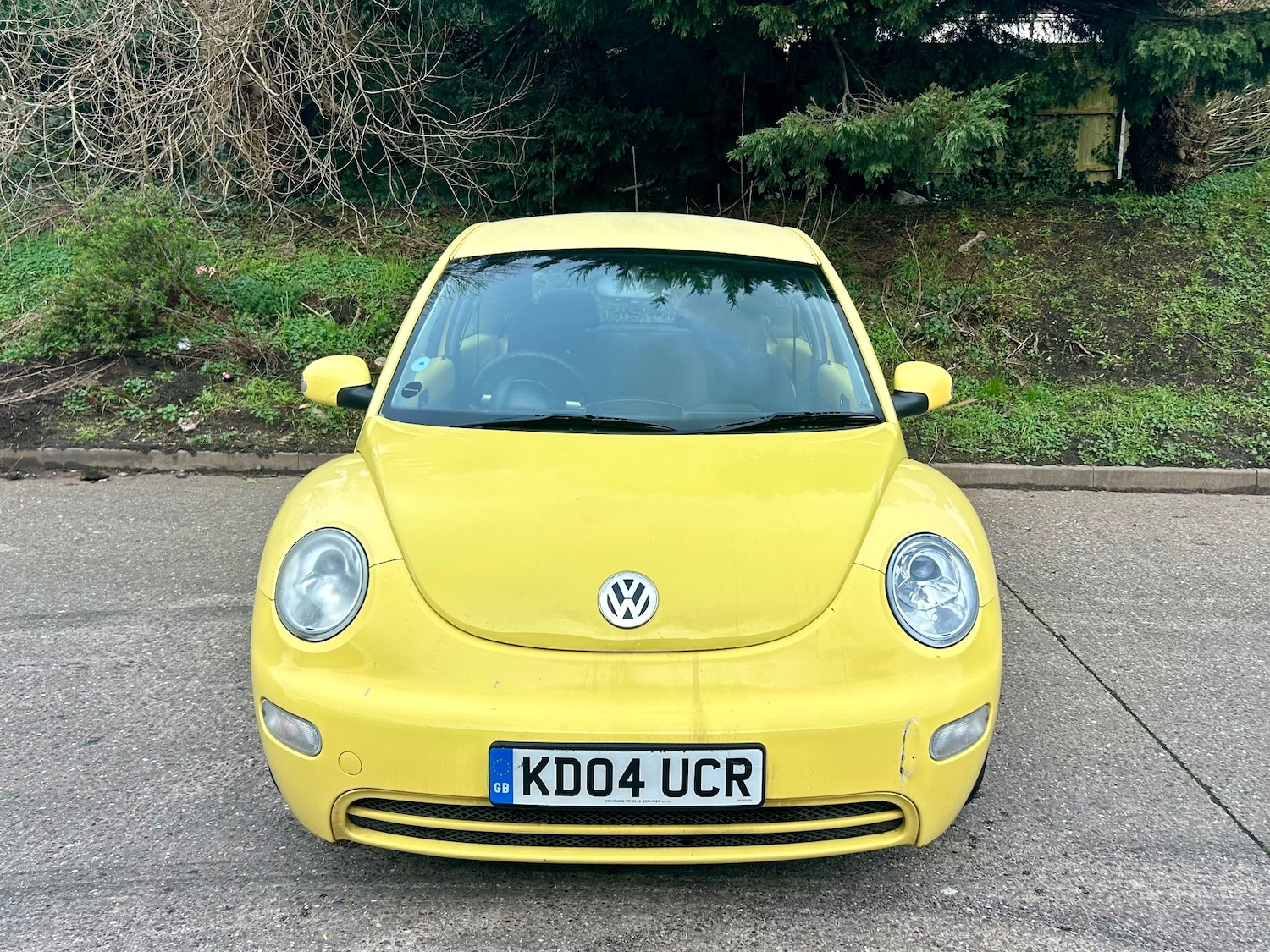 Used Volkswagen Beetle 2004 for sale - 77630735: Photo 3