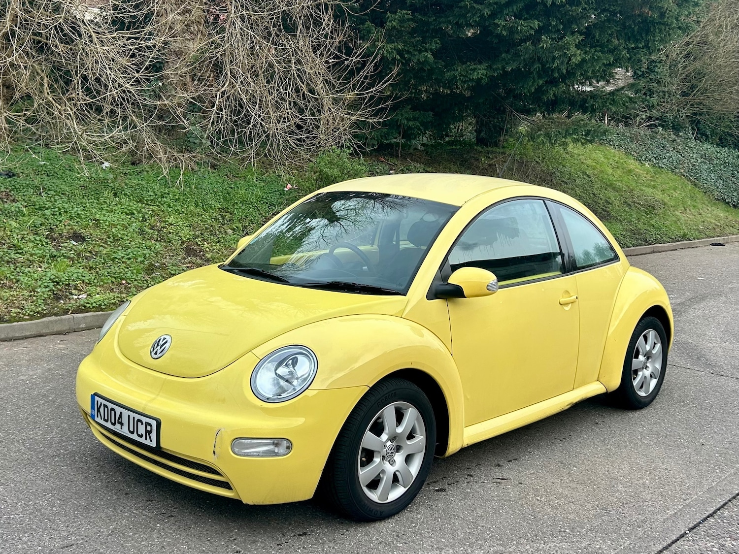 Used Volkswagen Beetle 2004 for sale - 77630735: Photo 4