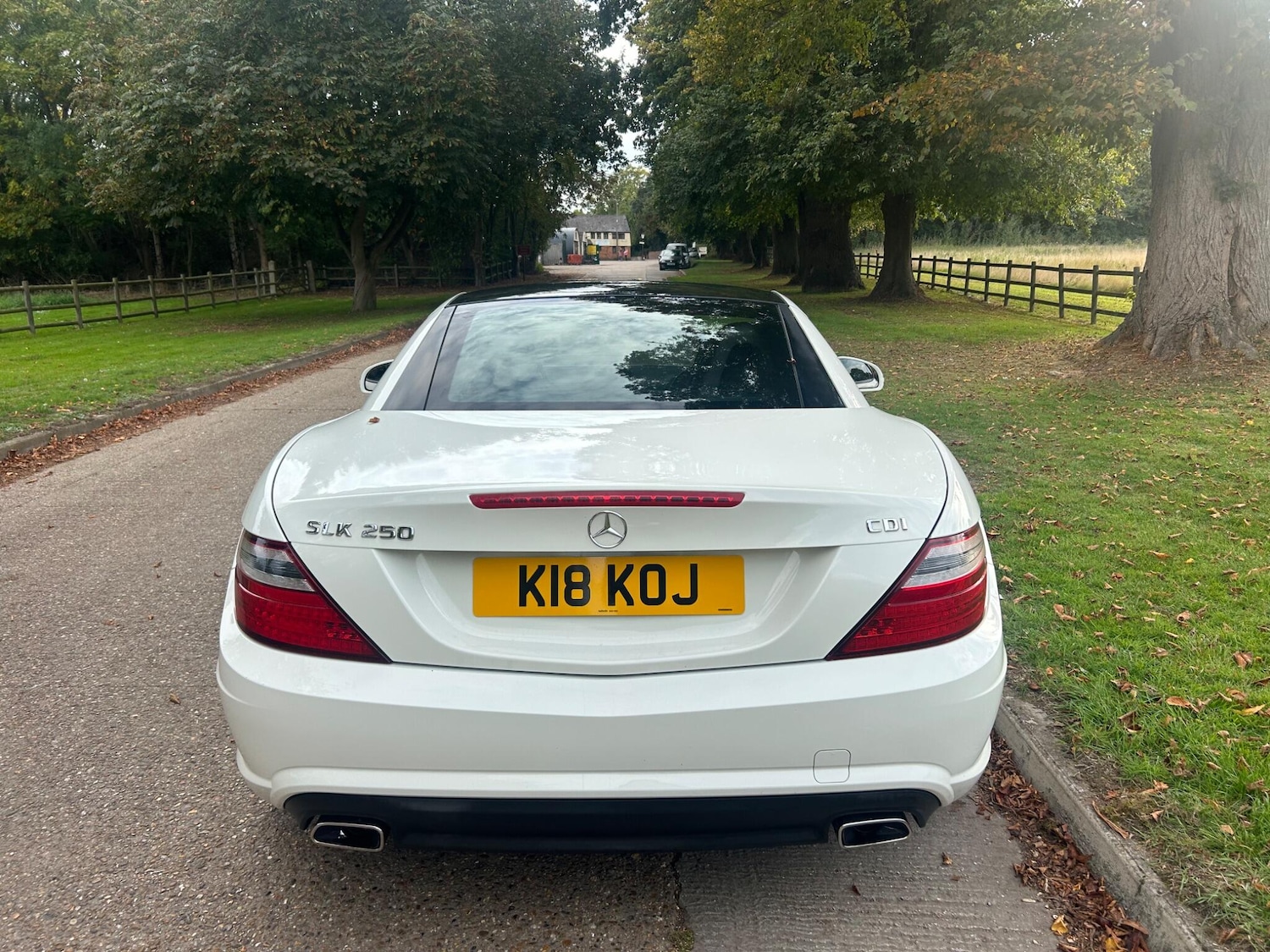 Used Mercedes-Benz SLK 2013 for sale - 76136838: Photo 15