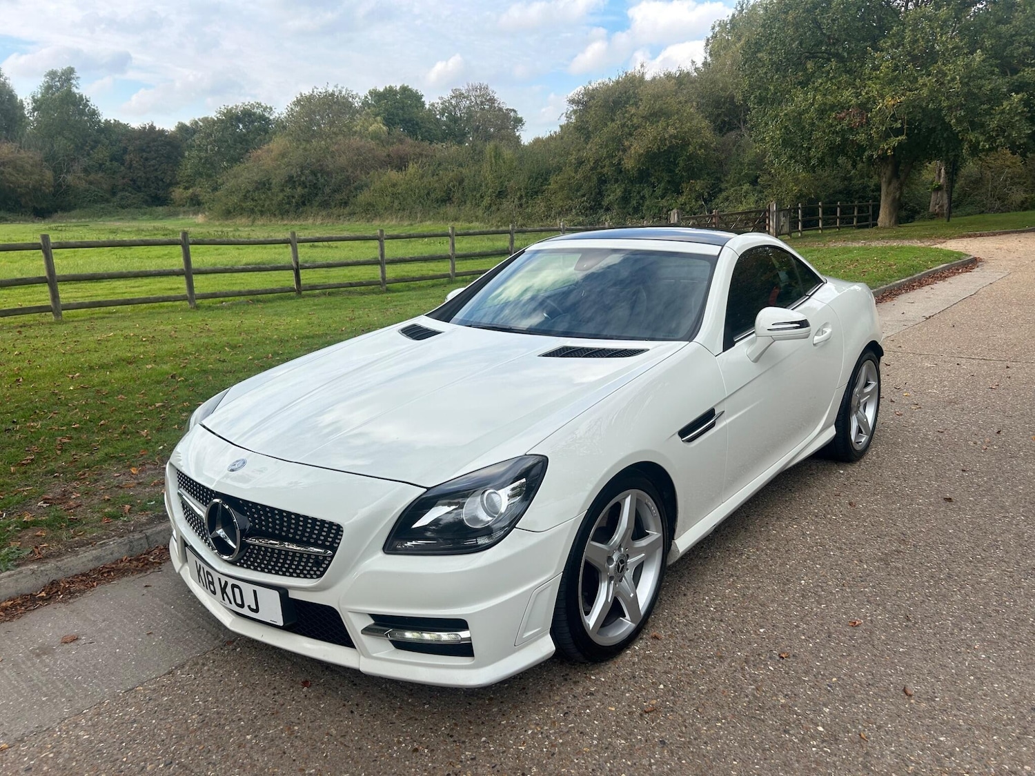 Used Mercedes-Benz SLK 2013 for sale - 76136838: Photo 19