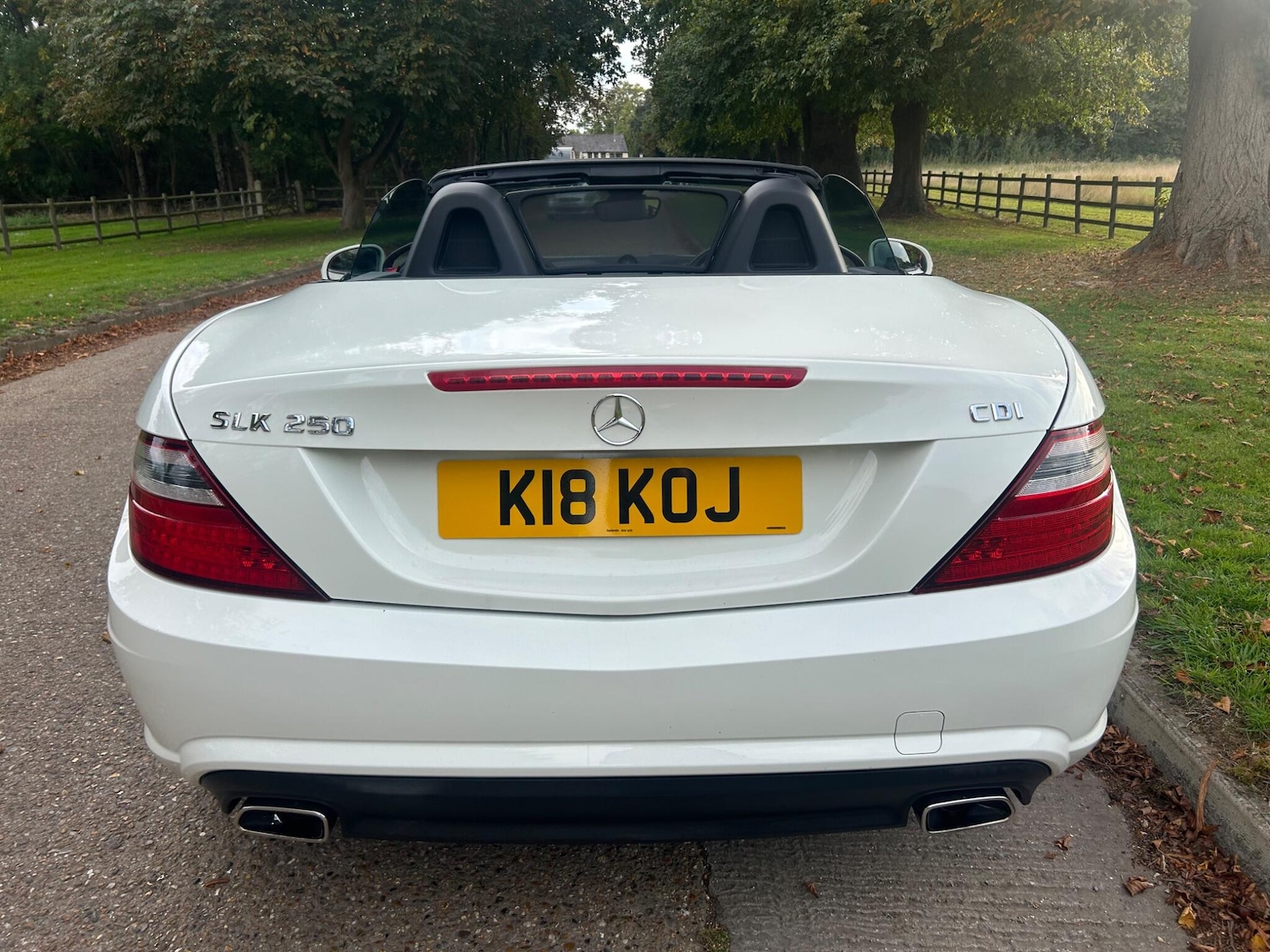 Used Mercedes-Benz SLK 2013 for sale - 76136838: Photo 26