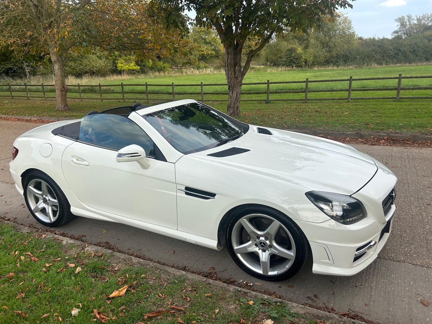 Used Mercedes-Benz SLK 2013 for sale - 76136838: Photo 8