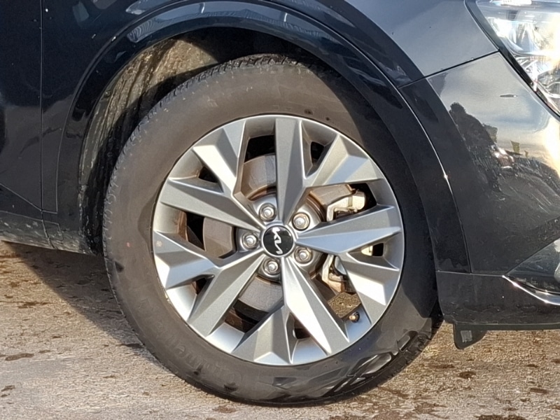 Used Kia Sportage 2025 for sale - 77265610: Photo 9