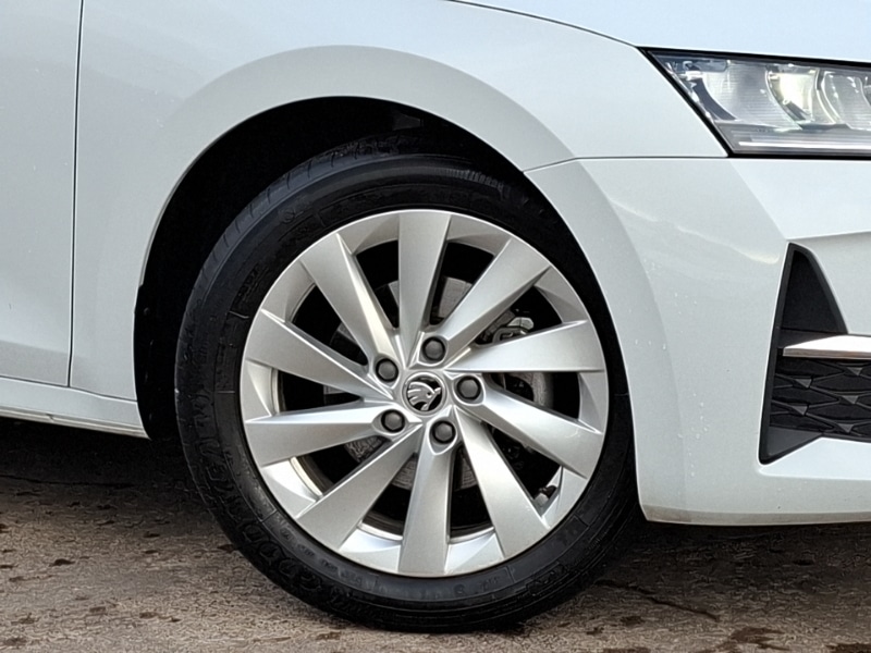 Used Skoda Octavia 2024 for sale - 77325112: Photo 9