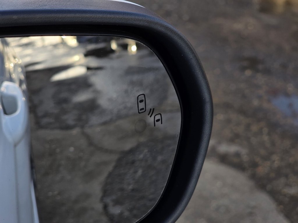 Used Ford Fiesta 2017 for sale - 76570199: Photo 43