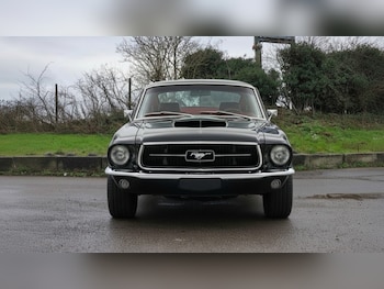 Used Ford Mustang 1967 for sale - 77065074: Photo