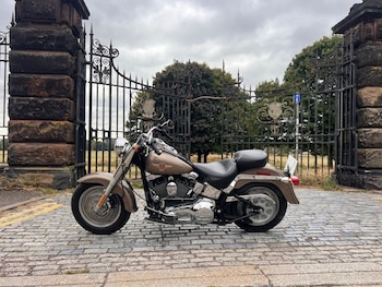 Used Harley-Davidson FLST 2004 for sale - bike-78702443: Photo