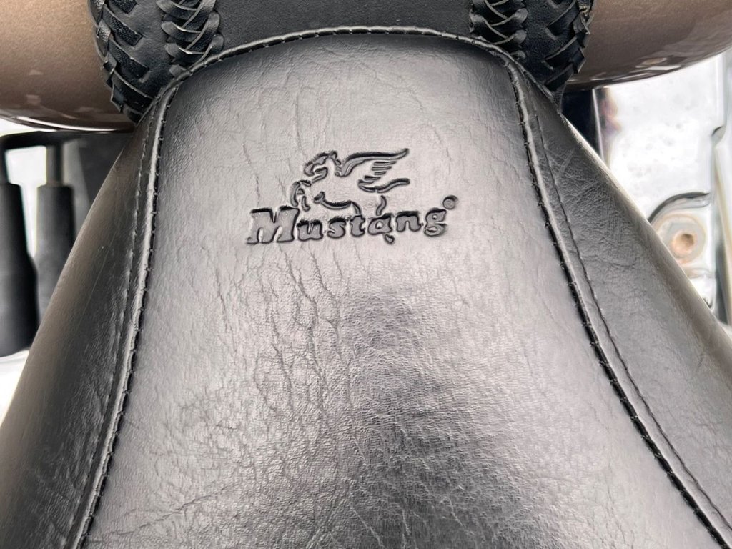 Used Harley-Davidson FLST 2004 for sale - 78702443: Photo 23