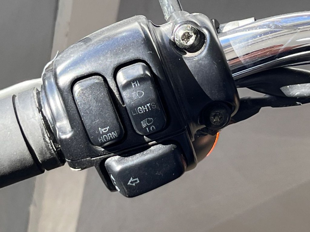 Used Harley-Davidson FLST 2004 for sale - 78702443: Photo 29