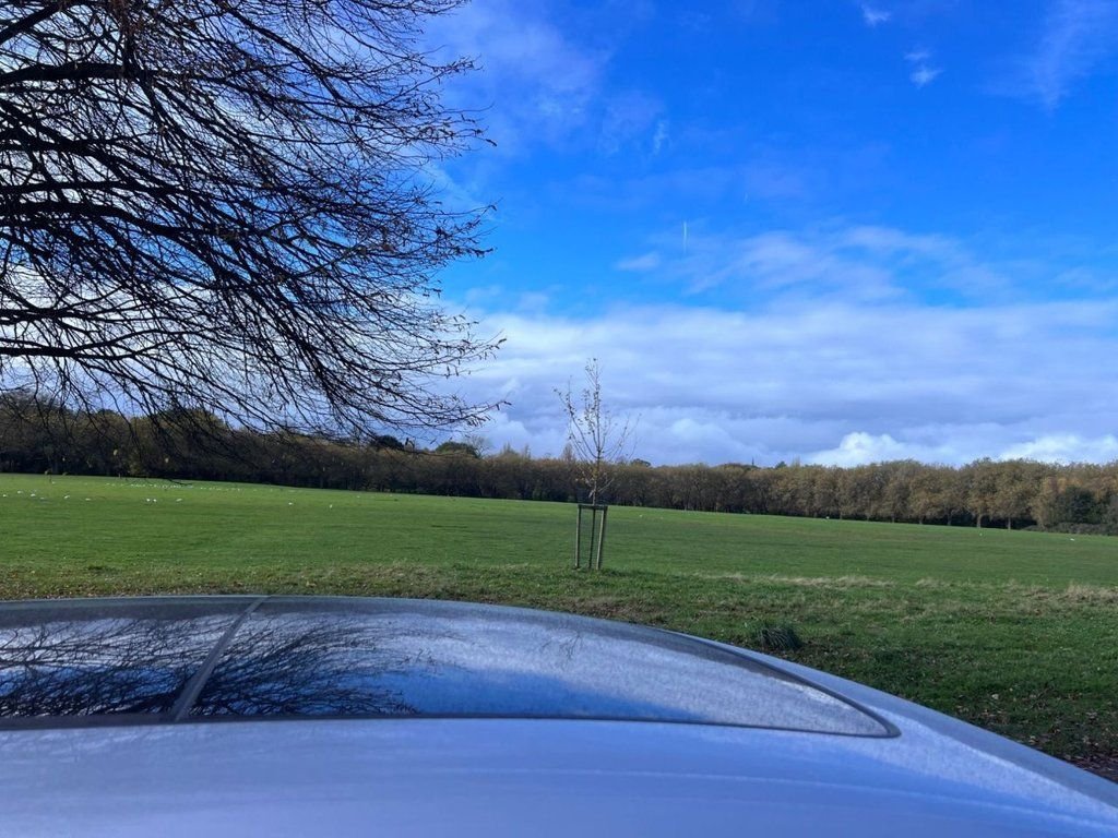 Used Audi Q8 2021 for sale - 77096366: Photo 12