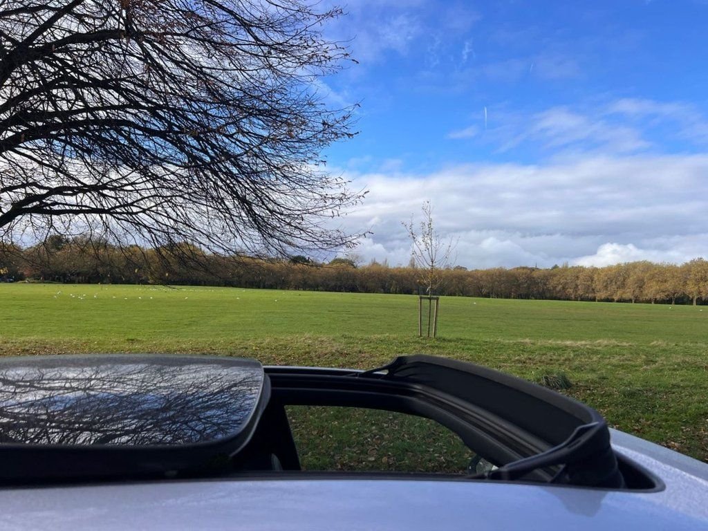 Used Audi Q8 2021 for sale - 77096366: Photo 13