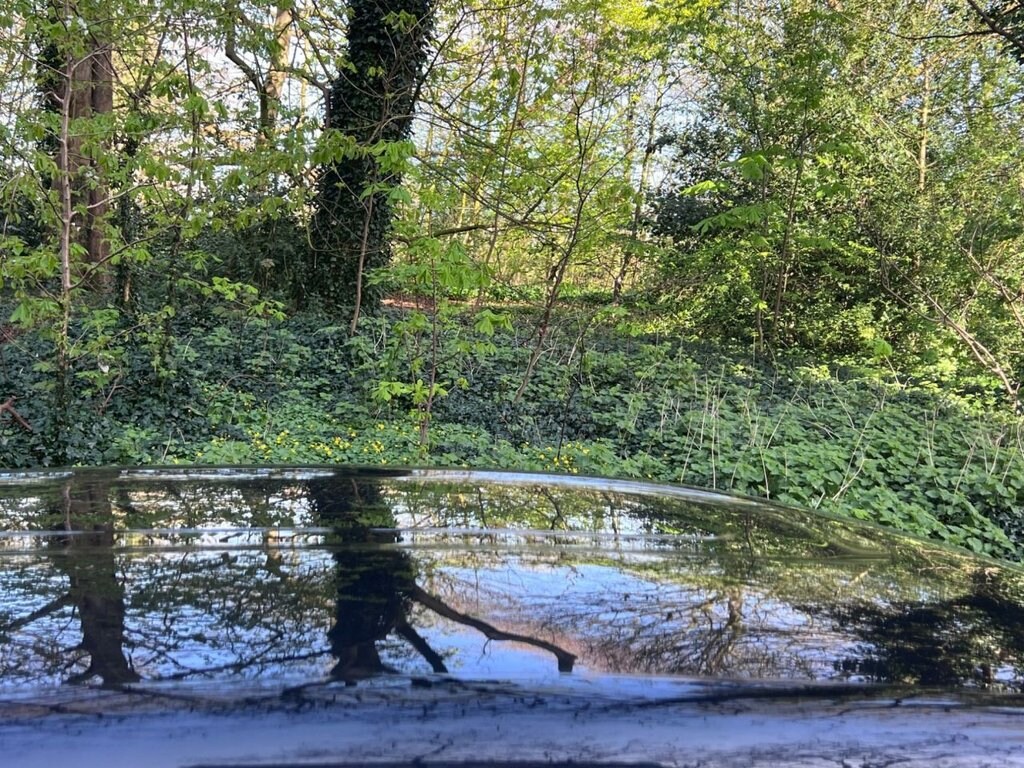 Used Citroen C3 2019 for sale - 78167408: Photo 9