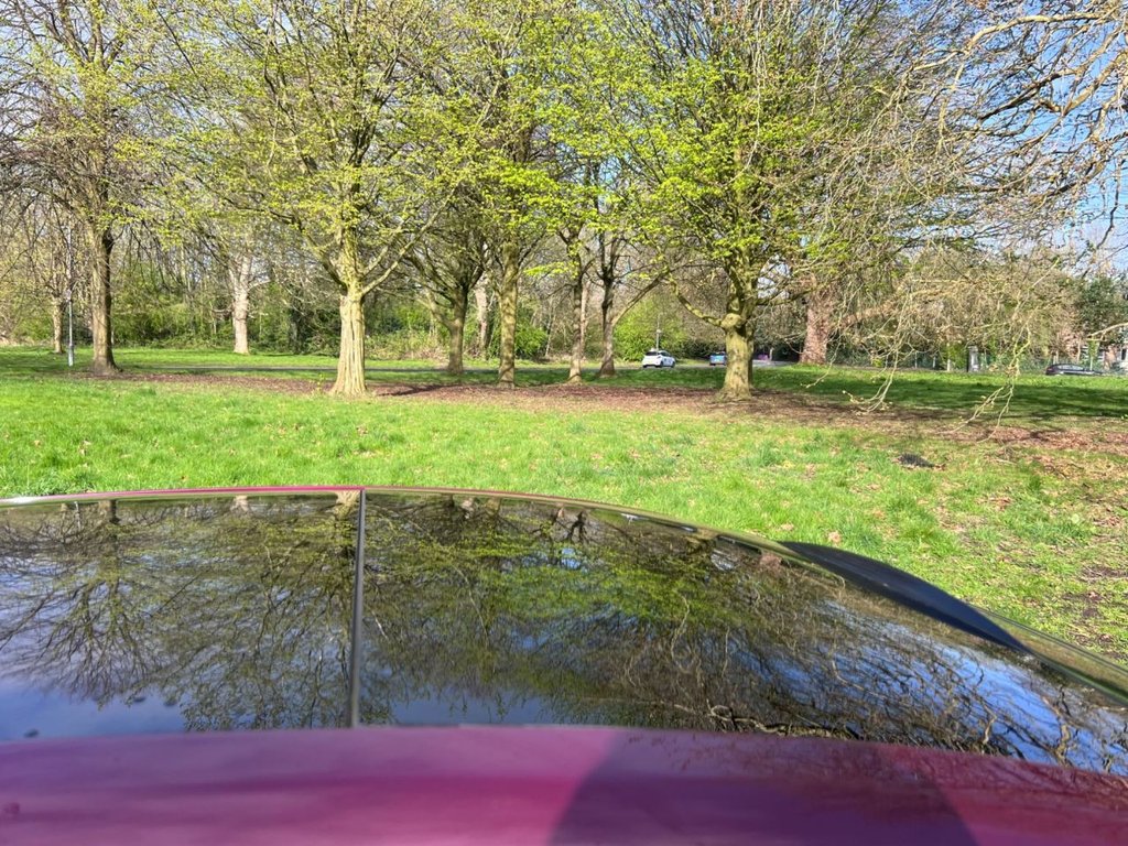 Used Fiat Punto 2012 for sale - 78124588: Photo 11