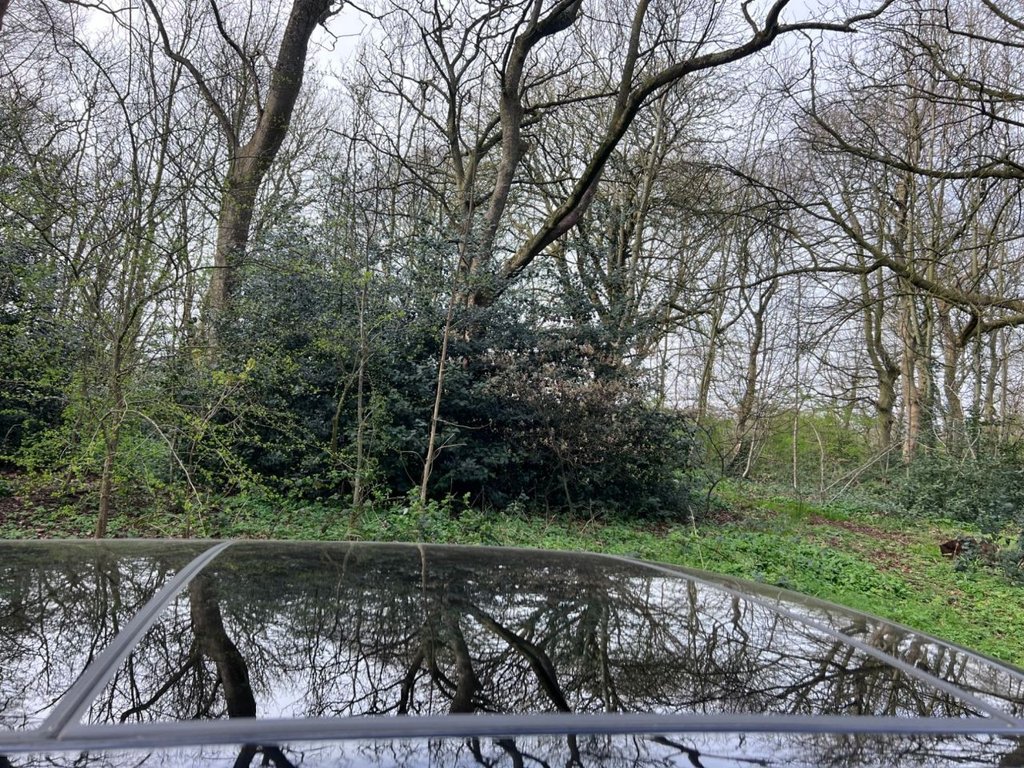 Used Land Rover Range Rover Sport 2018 for sale - 77991050: Photo 12