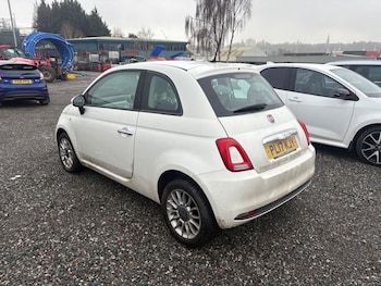 Used Fiat 500 2017 for sale - 77319476: Photo