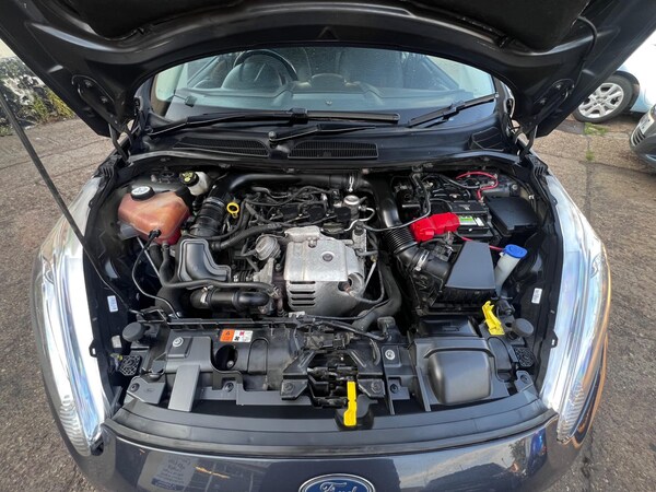 Used Ford Fiesta 2015 for sale - 75562922: Photo 21