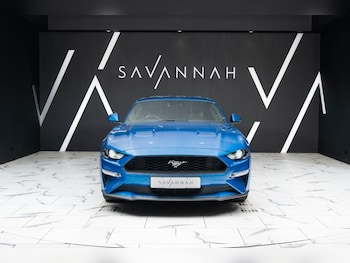 Used Ford Mustang 2019 for sale - 79482432: Photo