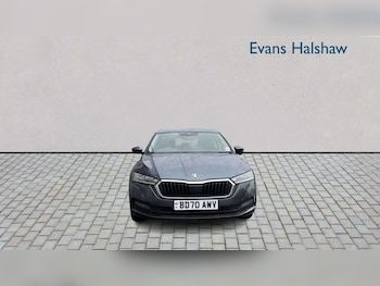 Used Skoda Octavia 2020 for sale - 79428616: Photo
