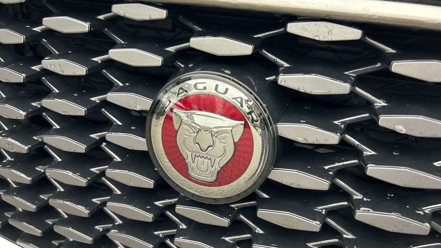 Used Jaguar F-Pace for sale - 77861106: Photo 24