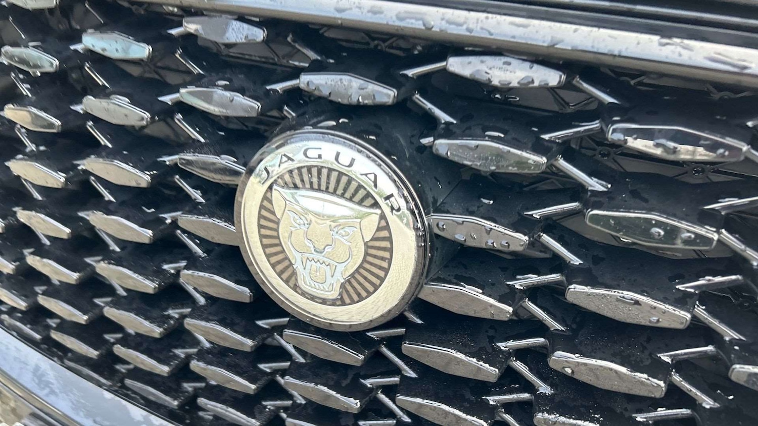 Used Jaguar F-Pace 2023 for sale - 77123295: Photo 24