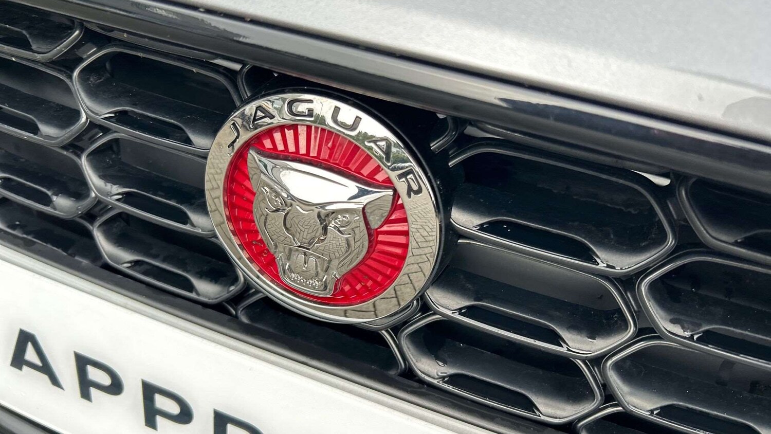 Used Jaguar F-Type for sale - 77972572: Photo 24