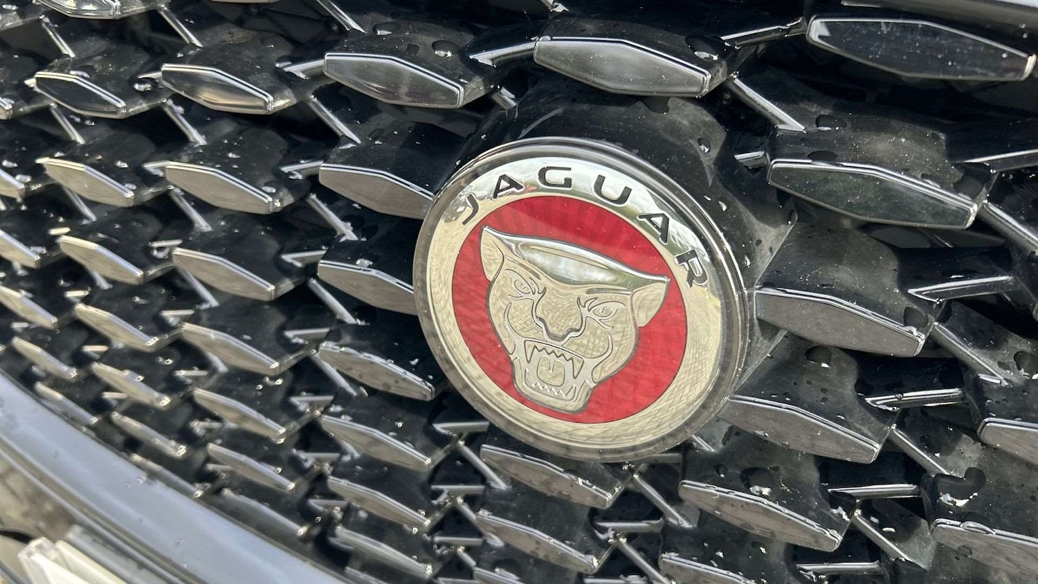 Used Jaguar F-Pace 2022 for sale - 77472608: Photo 24