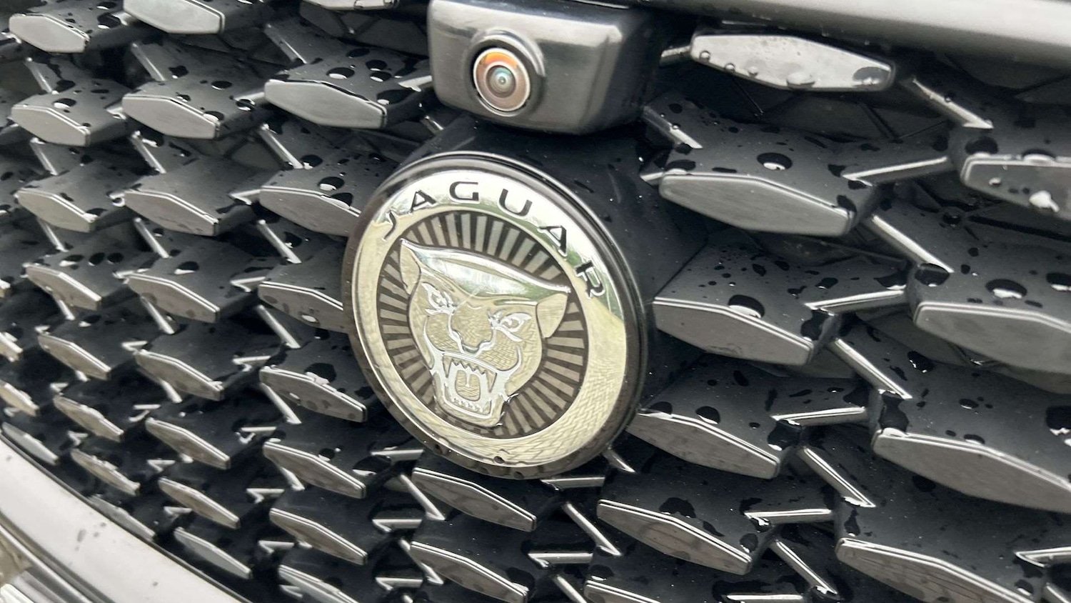 Used Jaguar F-Pace 2024 for sale - 76978892: Photo 24