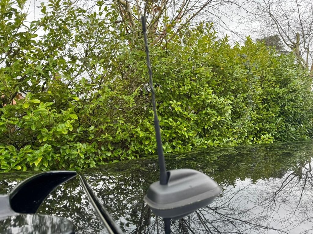 Used MINI Hatch 2018 for sale - 77680316: Photo 39