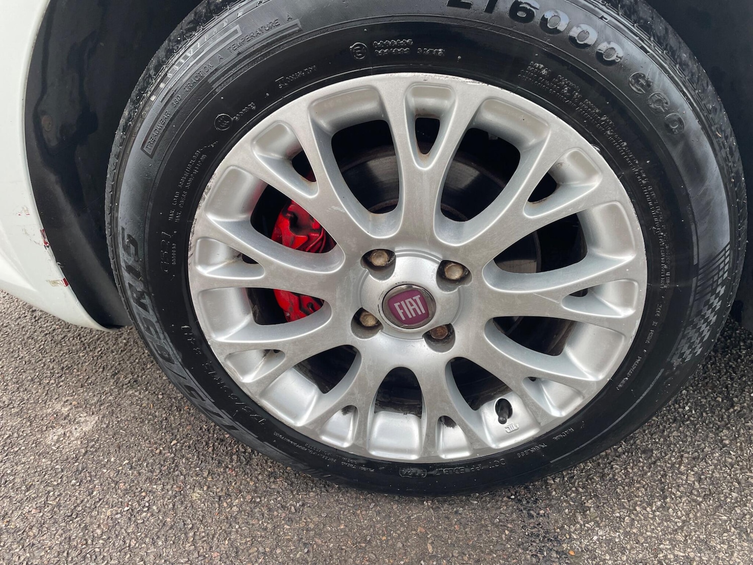 Used Fiat Punto Evo 2011 for sale - 77144189: Photo 49