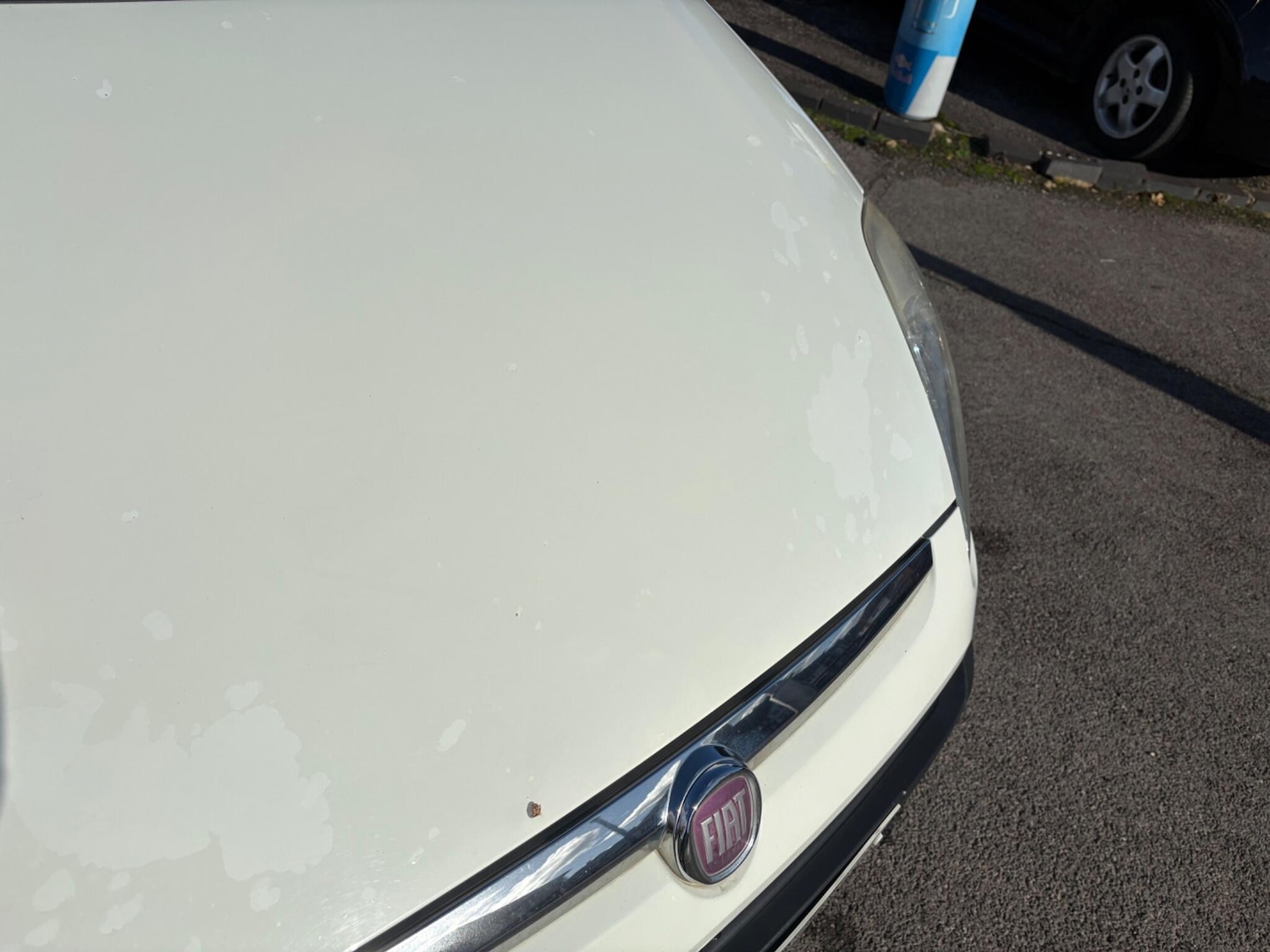 Used Fiat Punto Evo 2010 for sale - 76671680: Photo 78