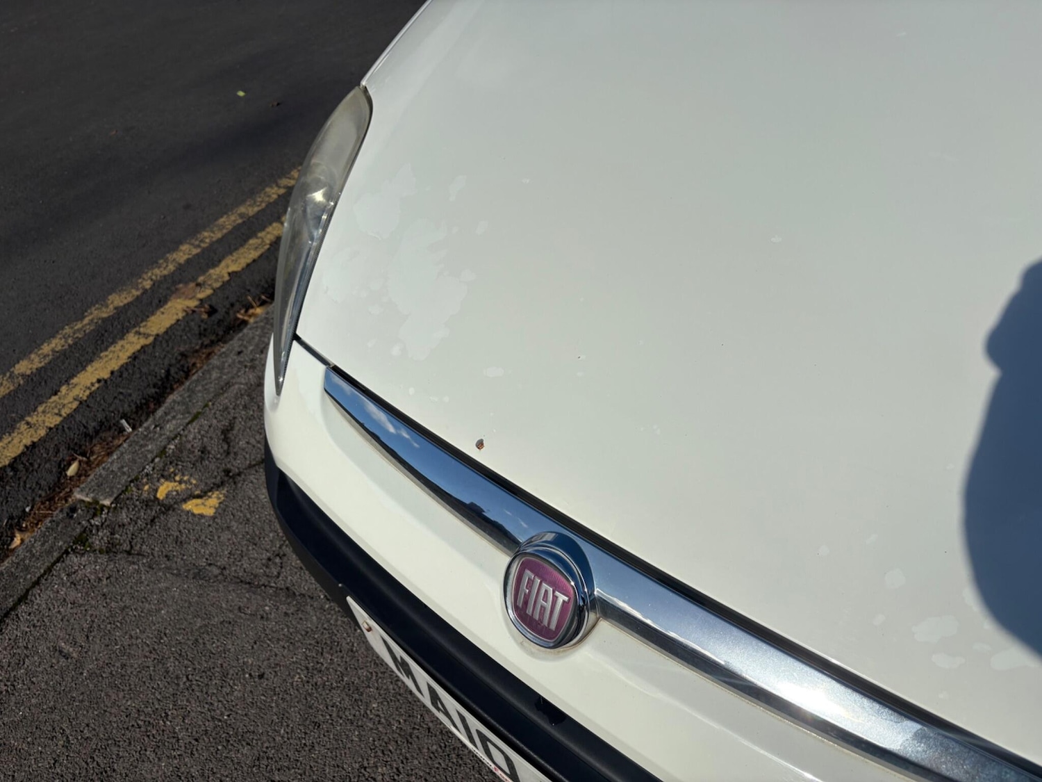 Used Fiat Punto Evo 2010 for sale - 76671680: Photo 79