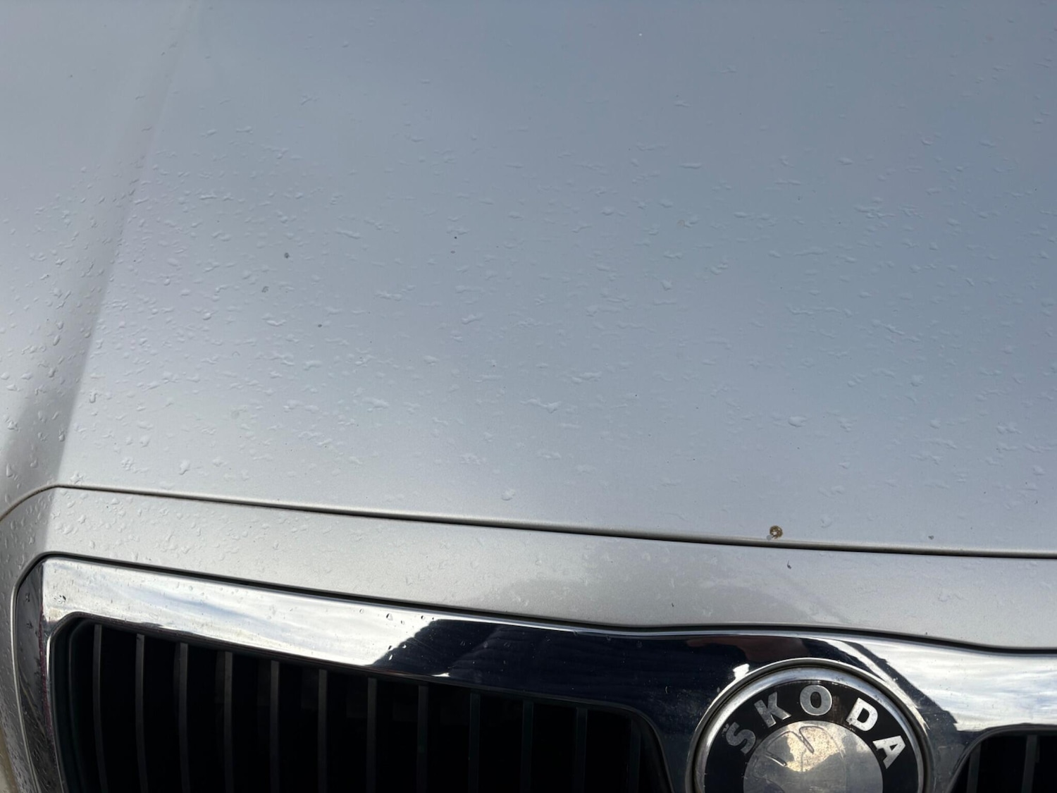 Used Skoda Fabia 2003 for sale - 76926937: Photo 83