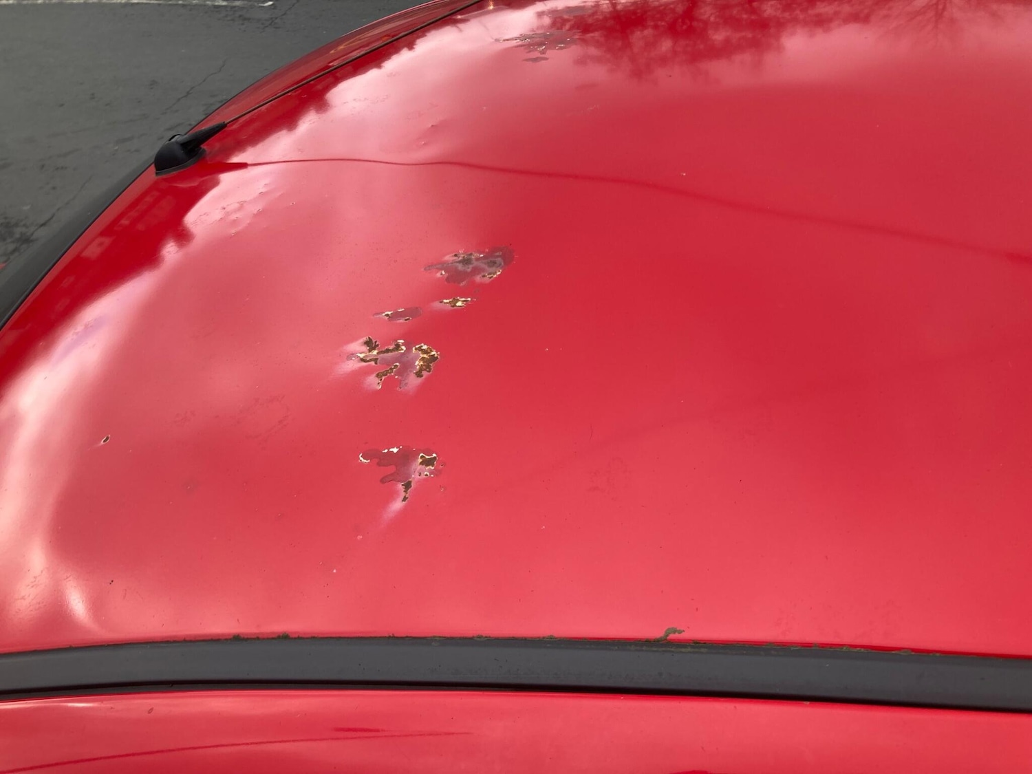 Used Kia Picanto 2007 for sale - 77684198: Photo 99