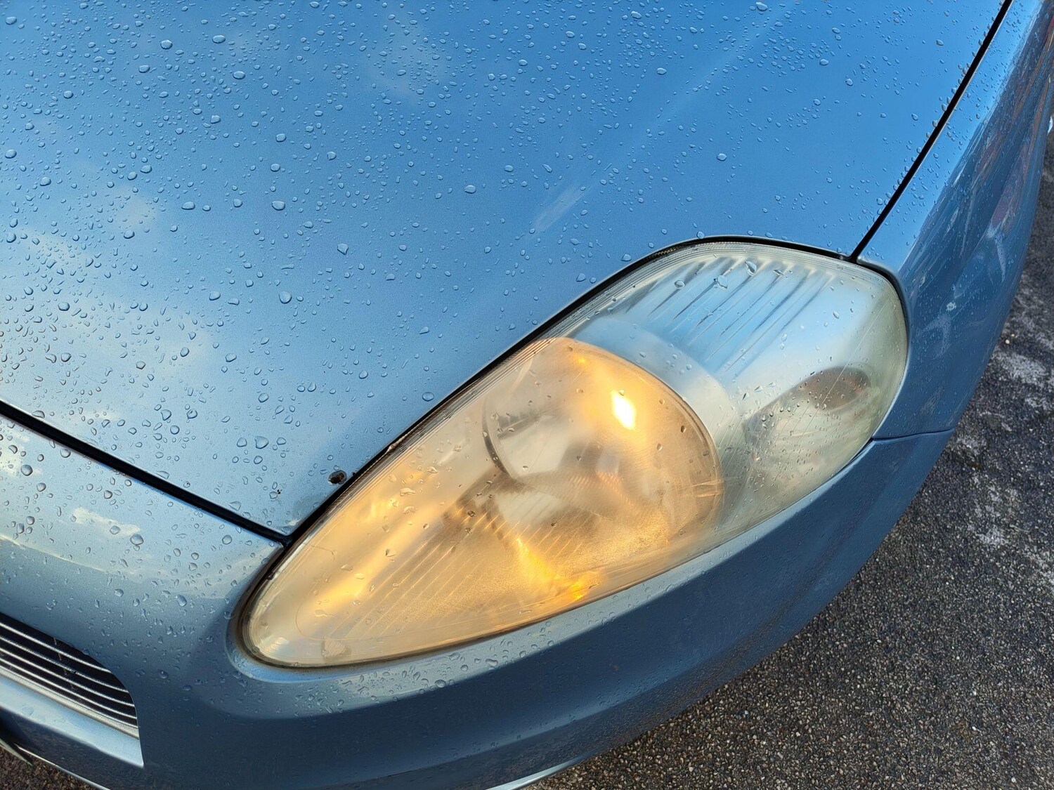 Used Fiat Grande Punto 2009 for sale - 77190466: Photo 46