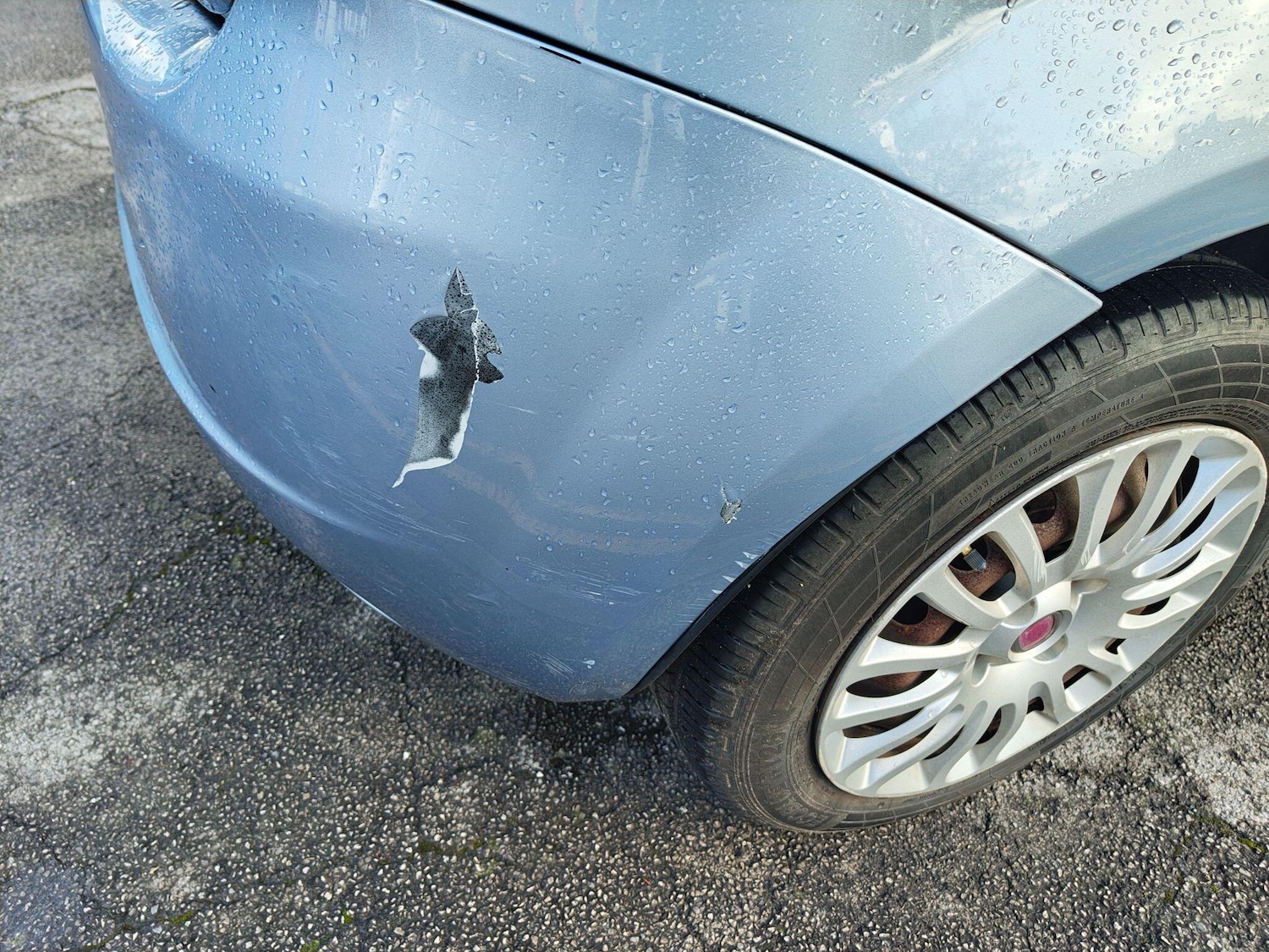 Used Fiat Grande Punto 2009 for sale - 77190466: Photo 48