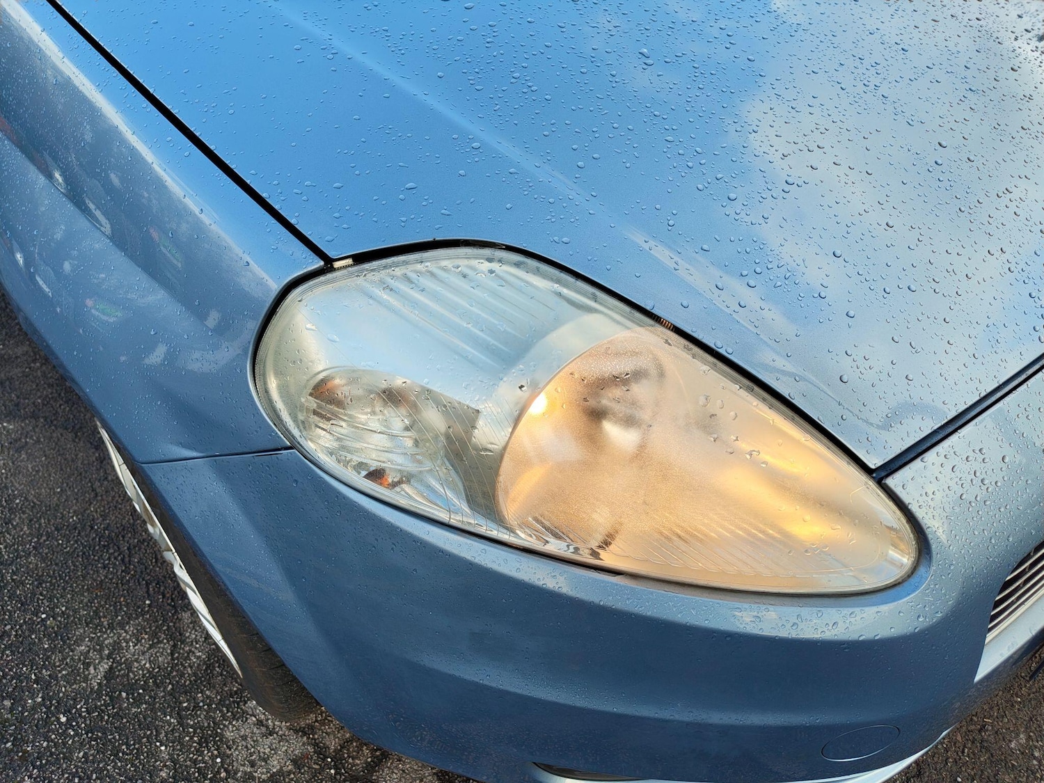 Used Fiat Grande Punto 2009 for sale - 77190466: Photo 51