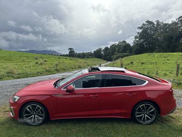 Used Audi A5 2020 for sale - 75720953: Photo 12