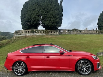 Used Audi A5 2020 for sale - 75720953: Photo
