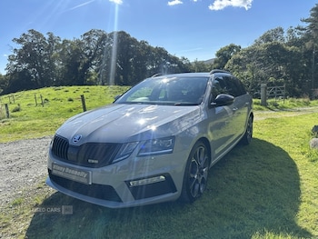 Used Skoda Octavia 2019 for sale - 76043593: Photo