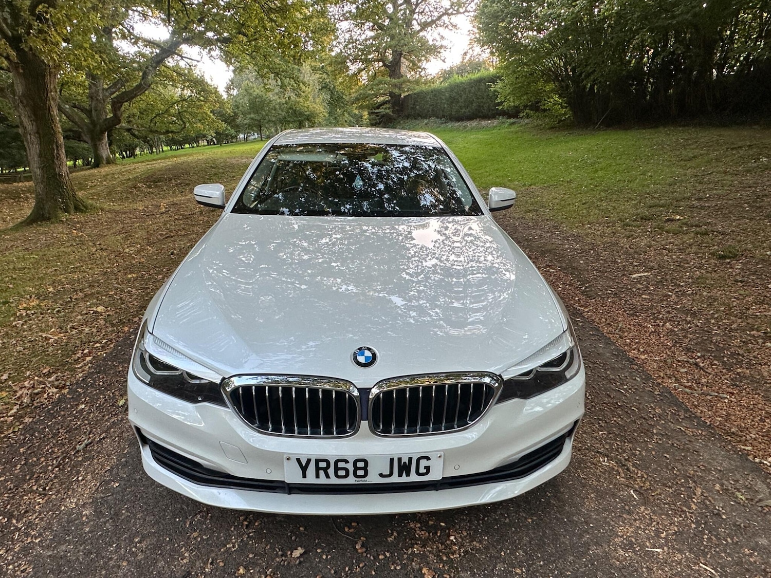 Used BMW 5 Series 2018 for sale - 76608323: Photo 4
